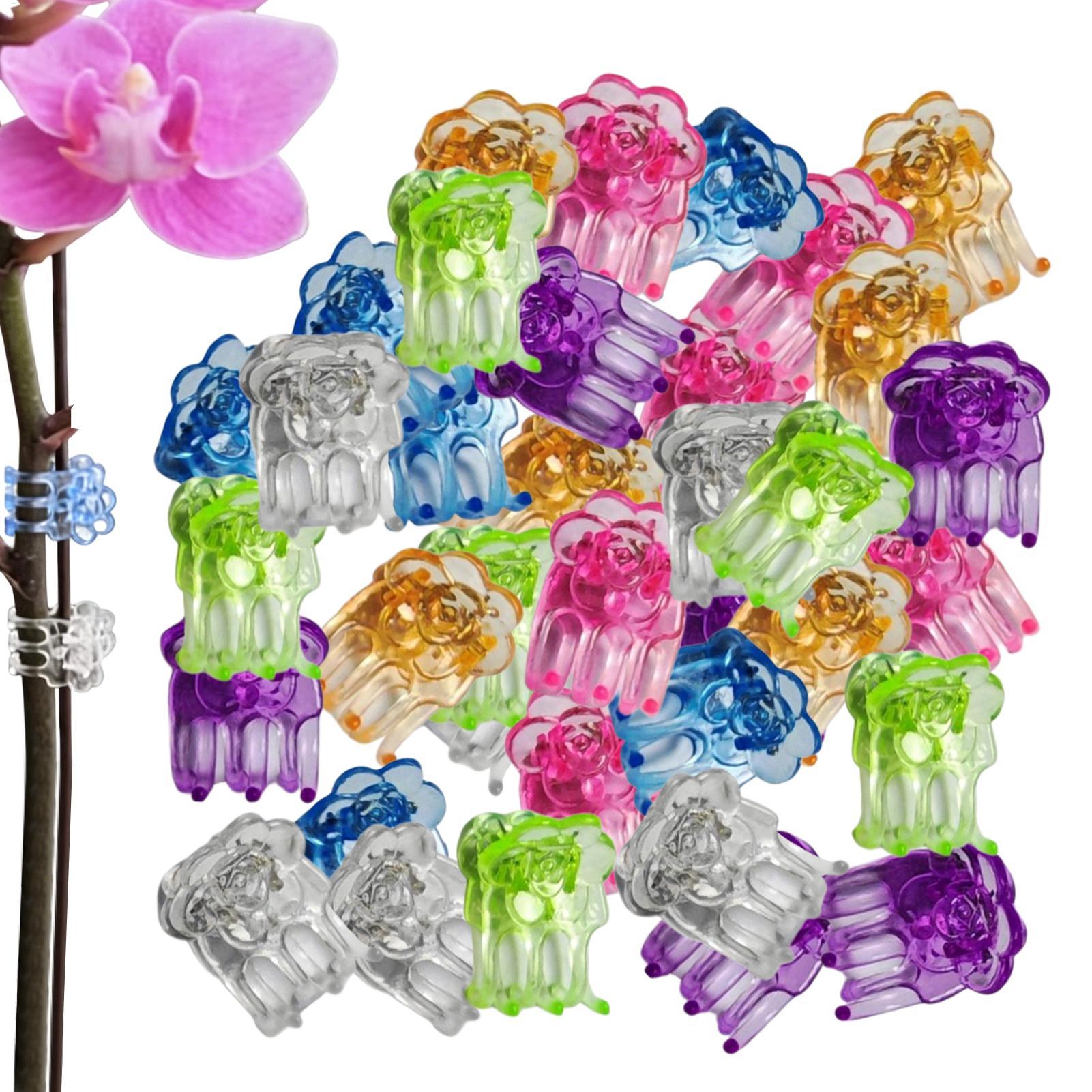 Greenhouse Plastic Film - Orchideen-Clips, 60 Stück, Schmetterlings-Blumenranken-Stützklammern für Gewächshaus,