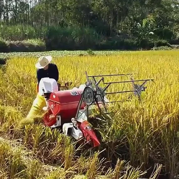 Combine Harvester Mini - Automatische 13 PS New Wheat Rice