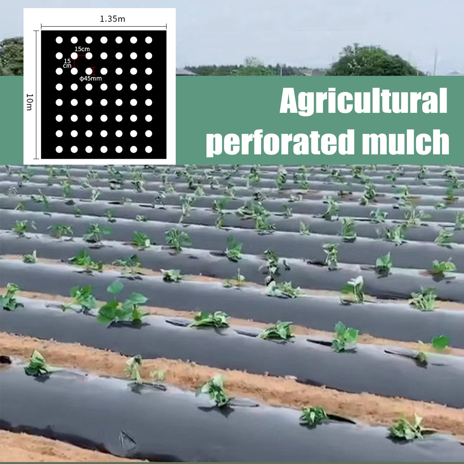 Greenhouse Plastic Film - PE Perforierte Mulchfolie für den Garten: