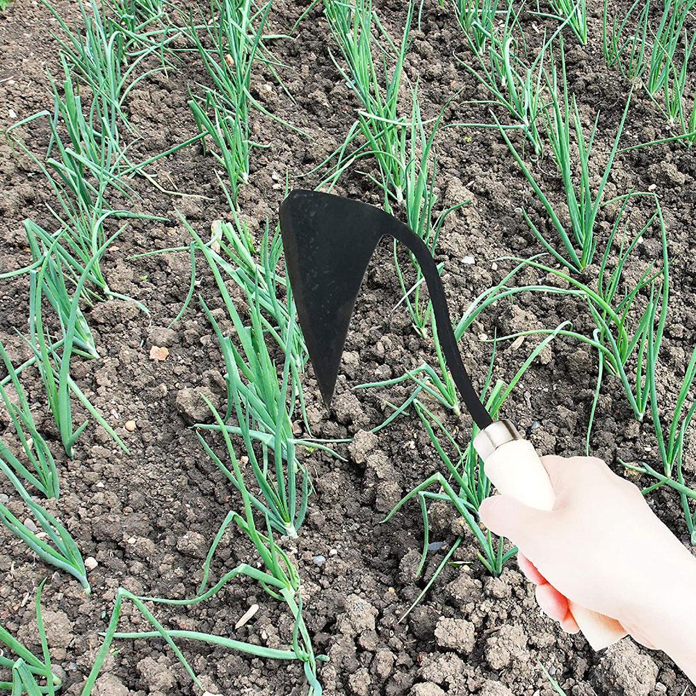 Landwirtschaftliche Geräte: Dr – Agriculture Farming Vegetables Bewertung und Preis