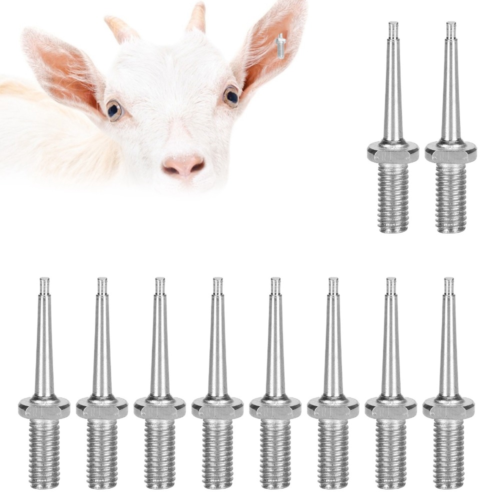 10 Stück Praktische Edelstahl- – Livestock Ear Tag Bewertung und Preis