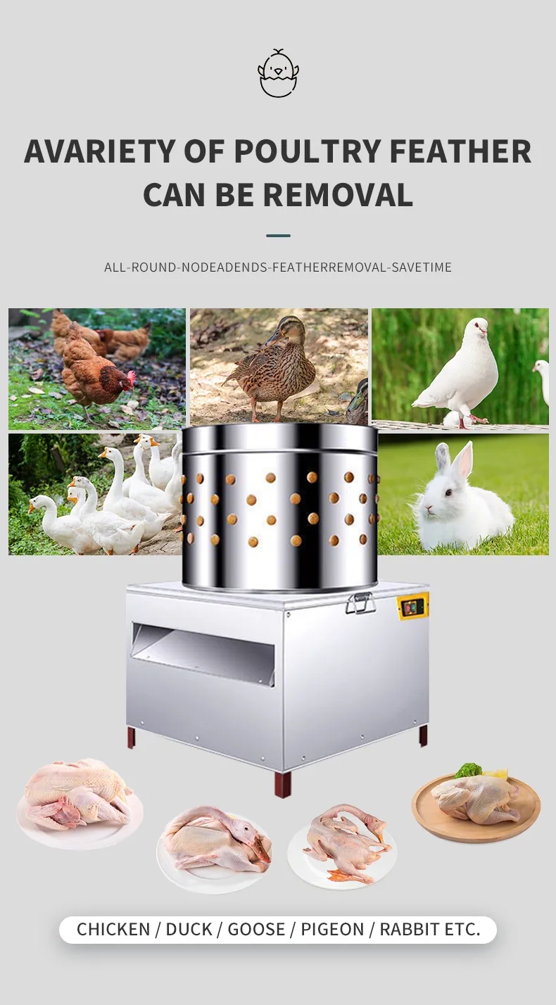 HHD Mittelgroße SD50 Hühnerfed – Chicken Plucker Machine Bewertung und Preis