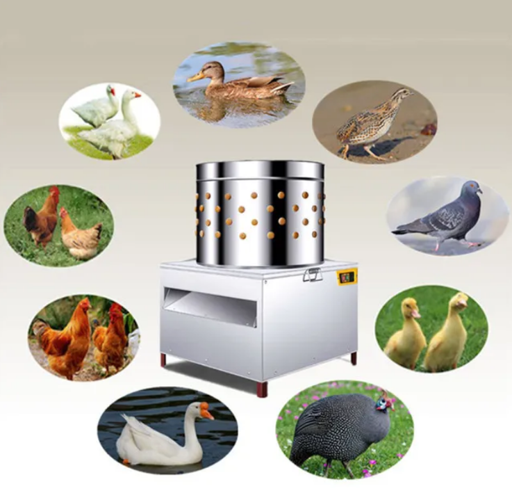 Kommerzielle automatische Hühn – Chicken Plucker Machine Bewertung und Preis