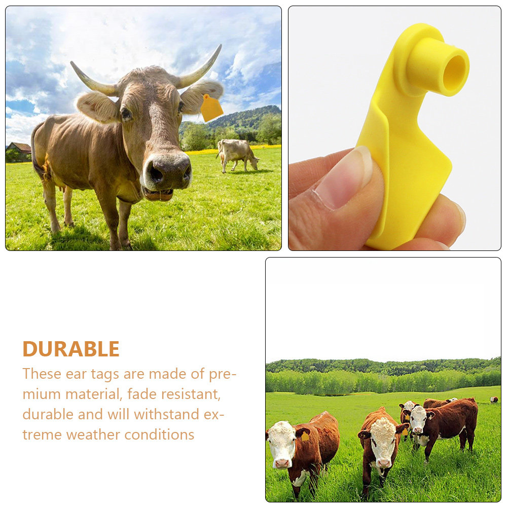 100 Stück Kuh-Ohrmarken, leere – Livestock Ear Tag Bewertung und Preis