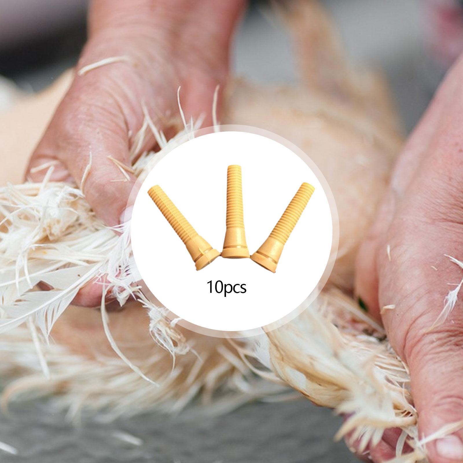Gummi-Rupffinger für Geflügelr – Chicken Plucker Machine Bewertung und Preis