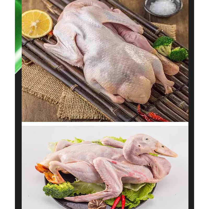 Handheld-Federzupfermaschine,  – Chicken Plucker Machine Bewertung und Preis