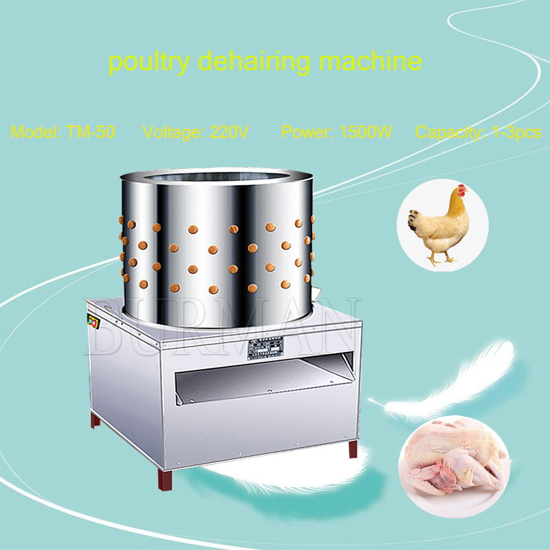 Neue Wachtel Tauben Vogel Haar – Chicken Plucker Machine Bewertung und Preis