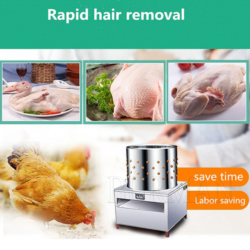 Neue Wachtel Tauben Vogel Haar – Chicken Plucker Machine Bewertung und Preis