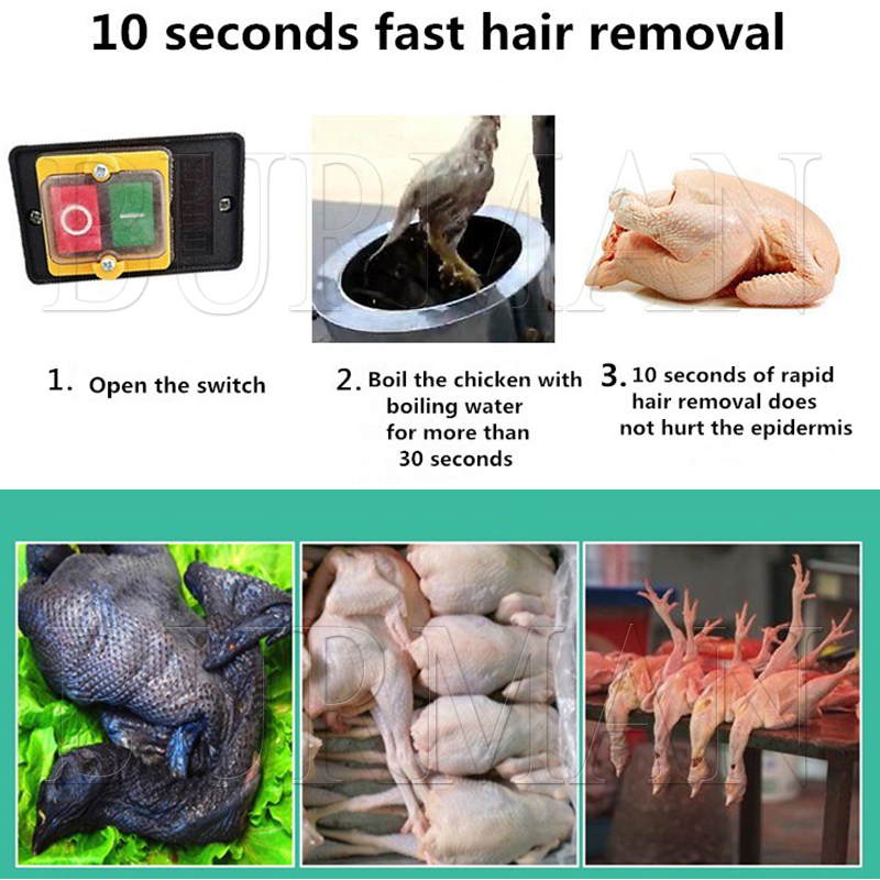 Neue Wachtel Tauben Vogel Haar – Chicken Plucker Machine Bewertung und Preis