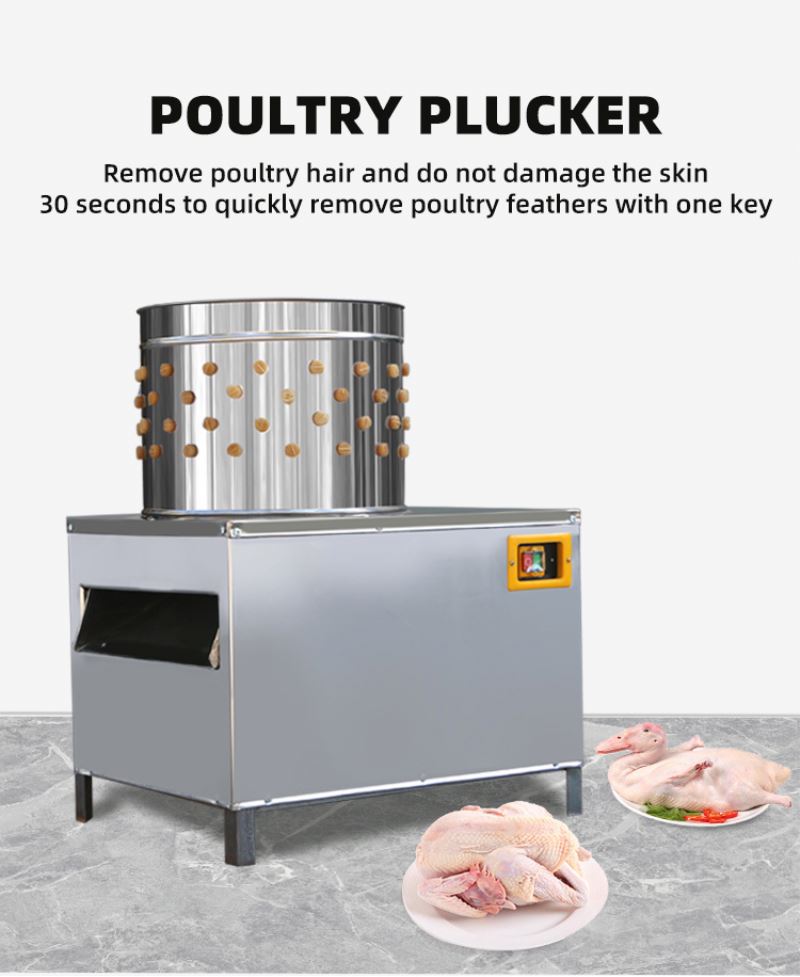 ISO-Zertifizierte Hühnerschlac – Chicken Plucker Machine Bewertung und Preis