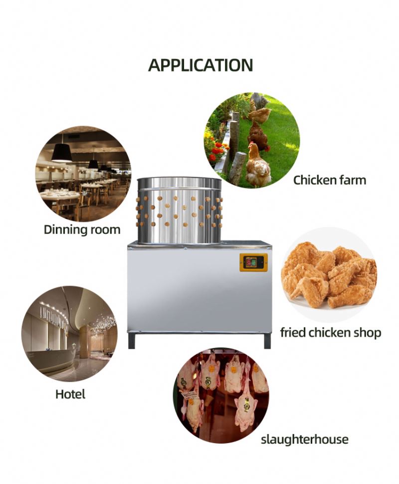 ISO-Zertifizierte Hühnerschlac – Chicken Plucker Machine Bewertung und Preis